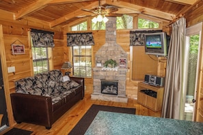 TV, fireplace, DVD player
