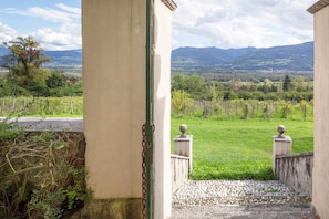 Vista dalla porta di un edificio su un vigneto con montagne sullo sfondo.