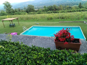 A rectangular swimming pool with a ladder, surrounded by a grassy area with a wooden table and chairs, and a potted plant with red flowers.