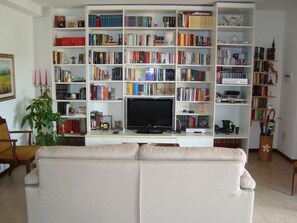 Télévision, lecteur de DVD, livres, chaßne hi-fi