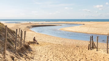 Playa en los alrededores