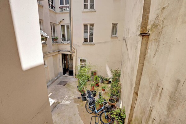House | Property grounds