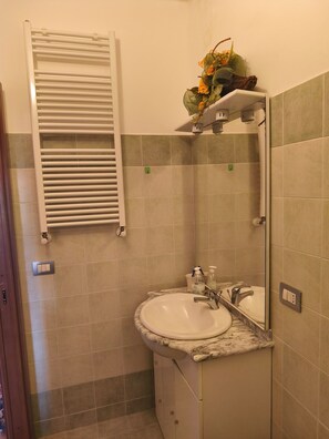 Regadera, amenidades de baño gratuitas, secadora de cabello, toallas 