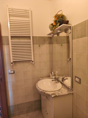 Dusche, Haartrockner, Handtücher