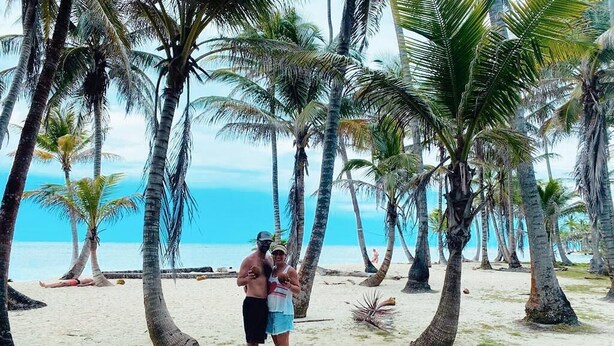 A beach with palm trees and a clear view of the ocean.