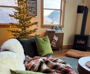 TV connectée, cheminée, livres