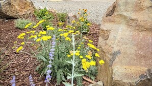 Una moderna casa in legno con un'ampia porta d'ingresso in vetro, immersa in un giardino con fiori gialli e grandi massi.