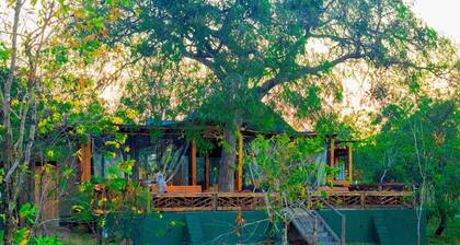 Daga Camp - Charming 1-bedroom bed & breakfast in serene Mikumi with AC