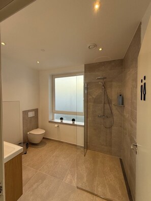 Douche, sèche-cheveux, serviettes fournies, papier toilette