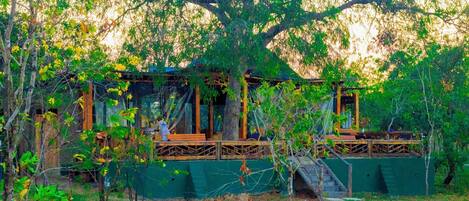 Enceinte de l’hébergement