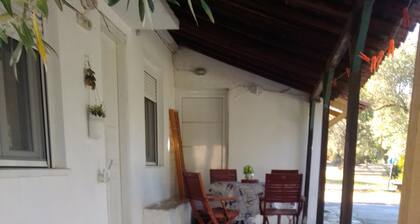 Studio anemos