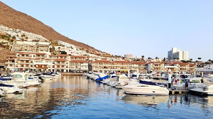 Apartment With Garden and BBQ in Tenerife