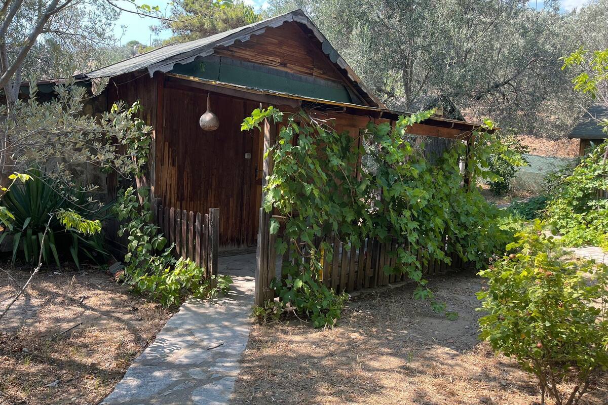 Chambre Confort, vue jardin