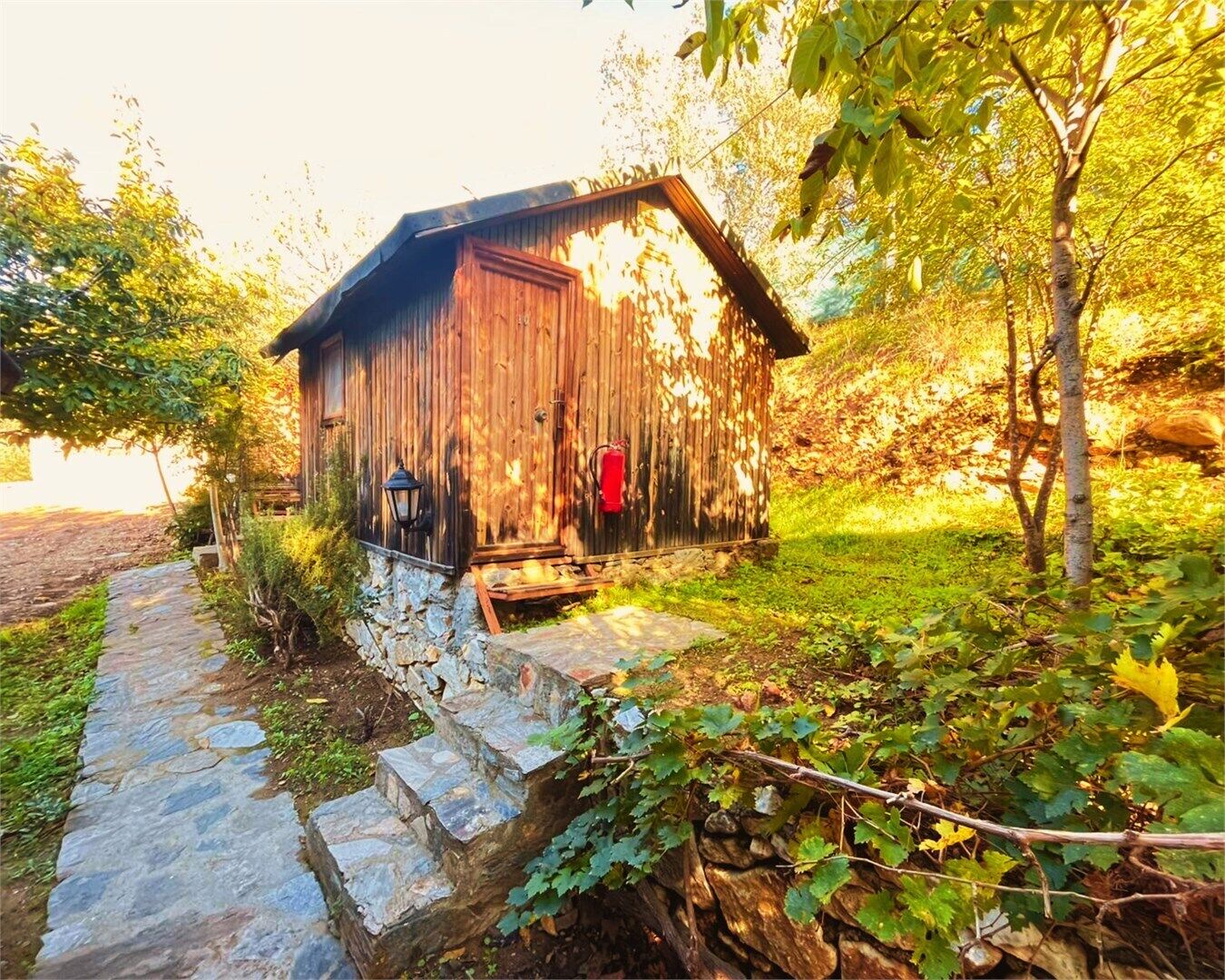 Bungalou bàsic, vistes al jardí