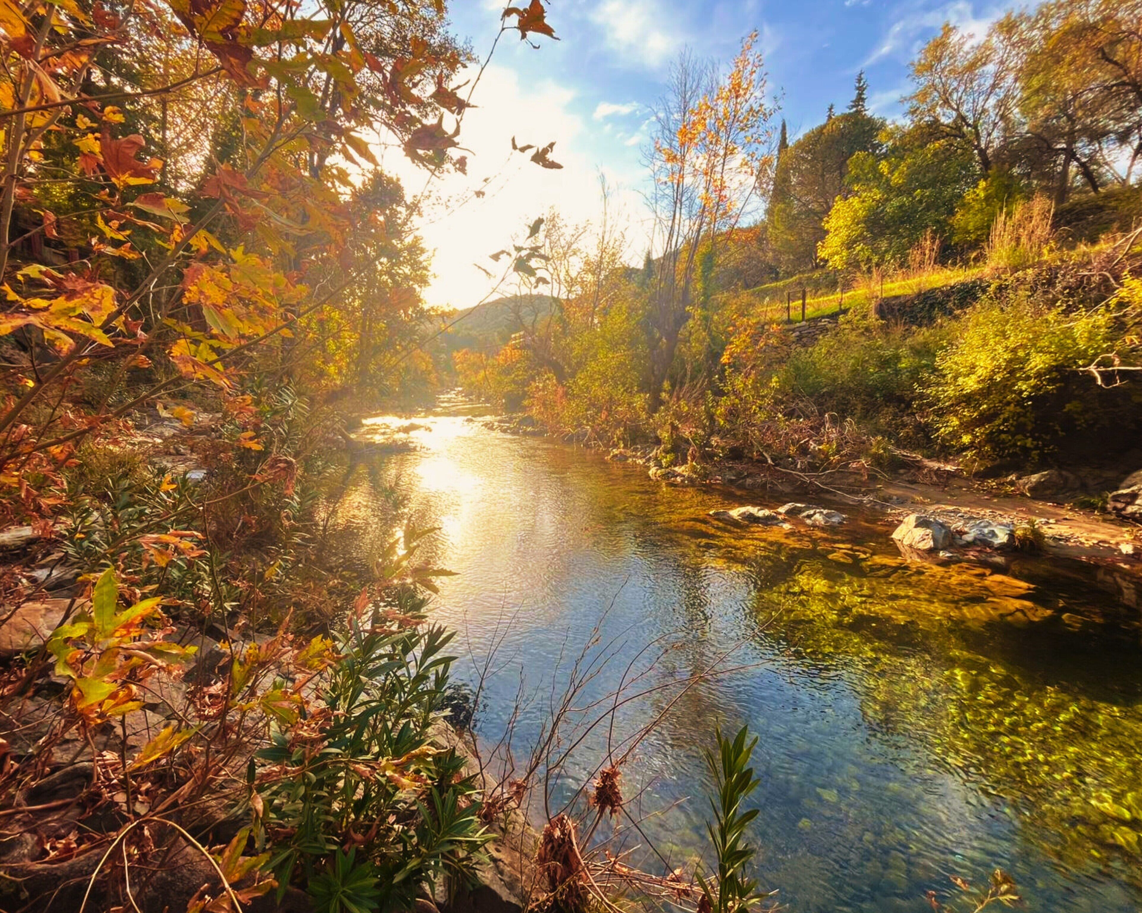 Un río tranquilo rodeado de follaje otoñal, agua clara que refleja el cielo y un puente de piedra a lo lejos.