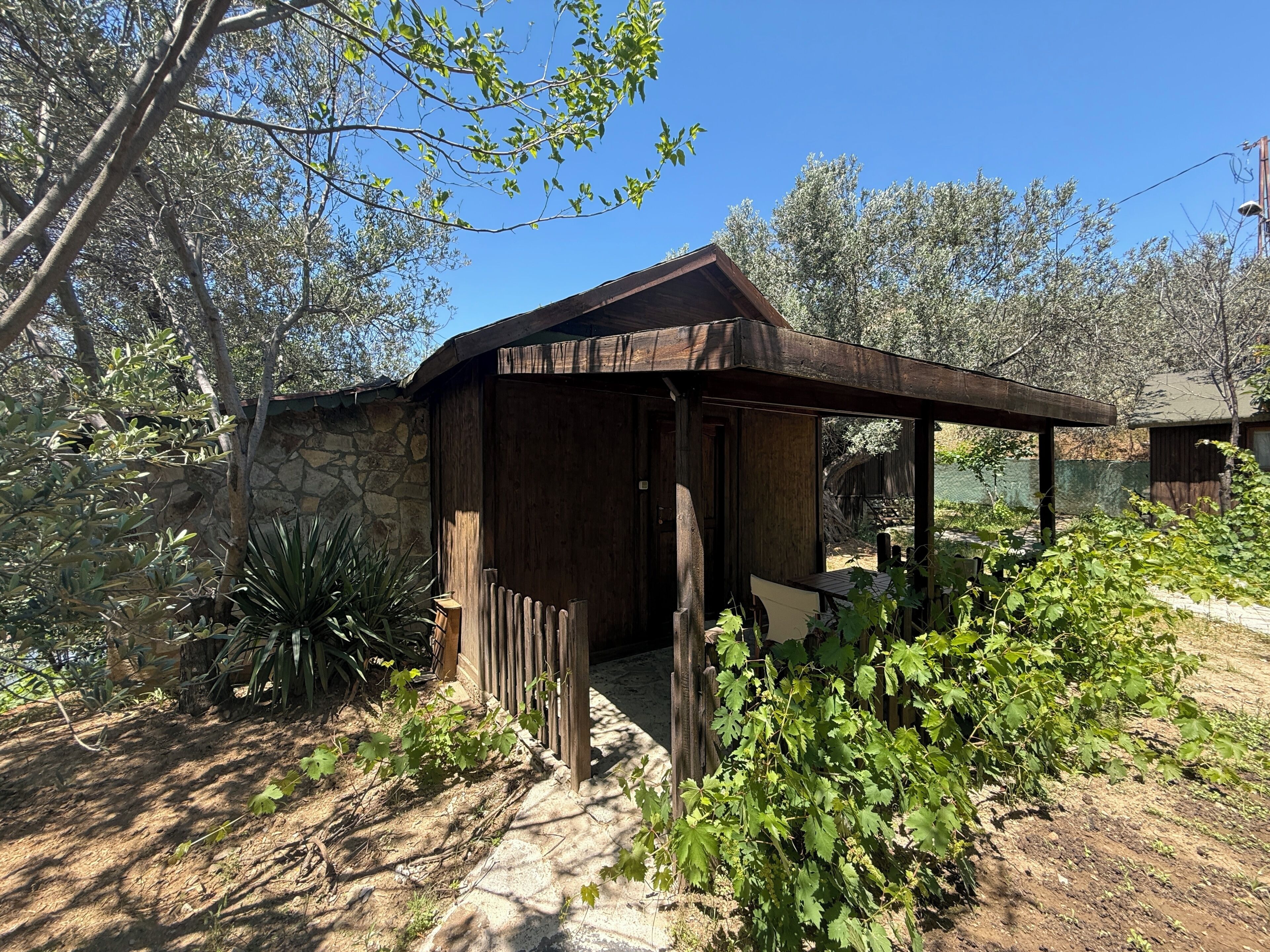 Comfort Room, Garden View