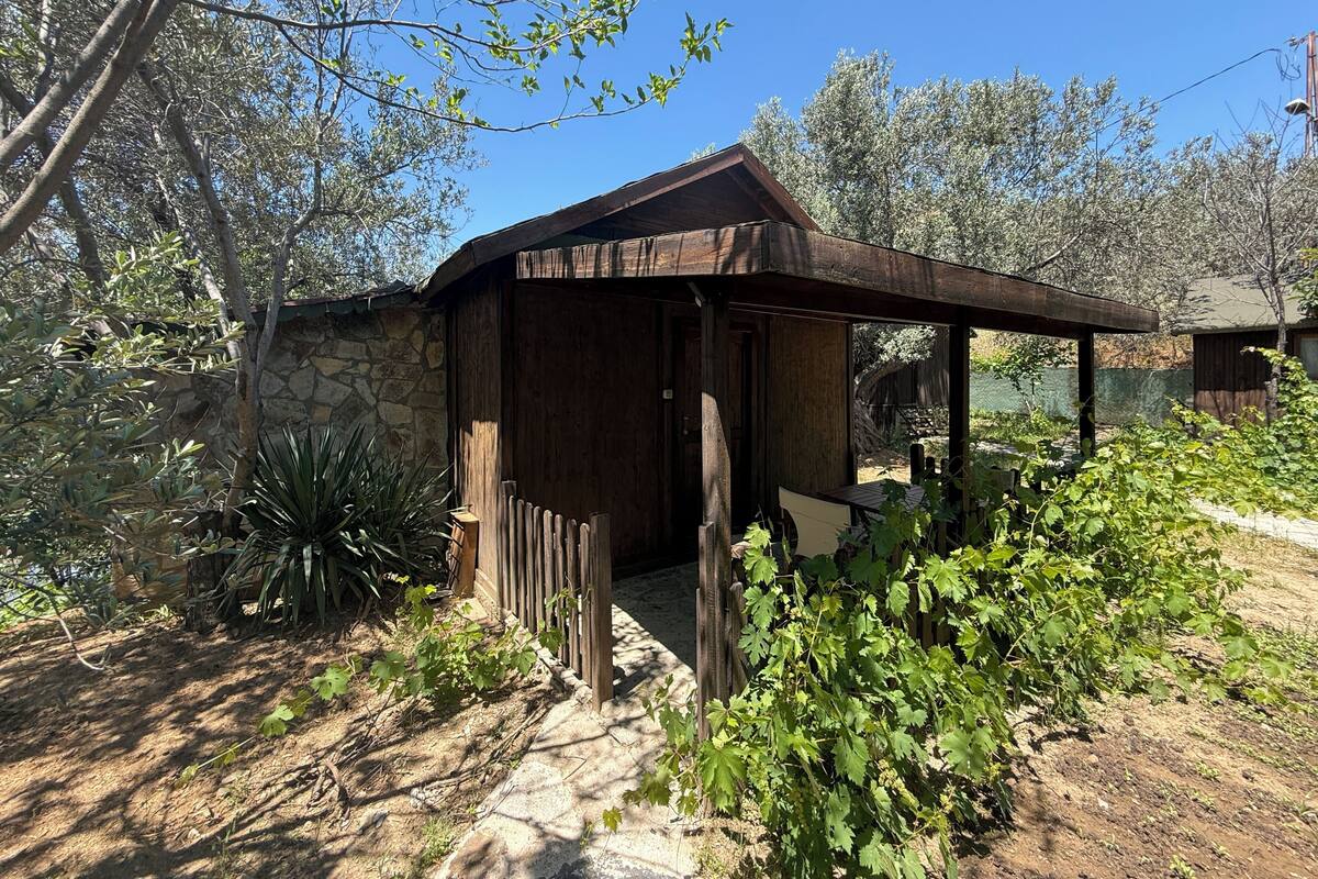A rustic wooden structure with a stone wall, a covered seating area, and surrounding vegetation.
