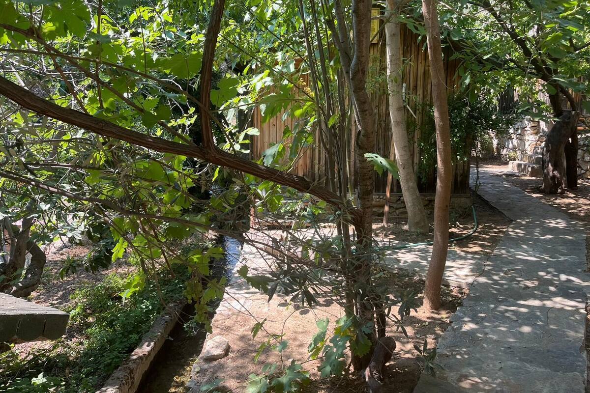 Basic Bungalow, Garden View