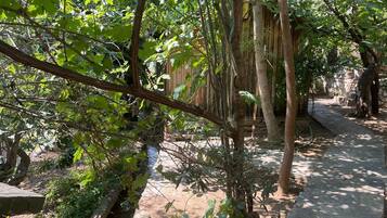 Basic Bungalow, Garden View