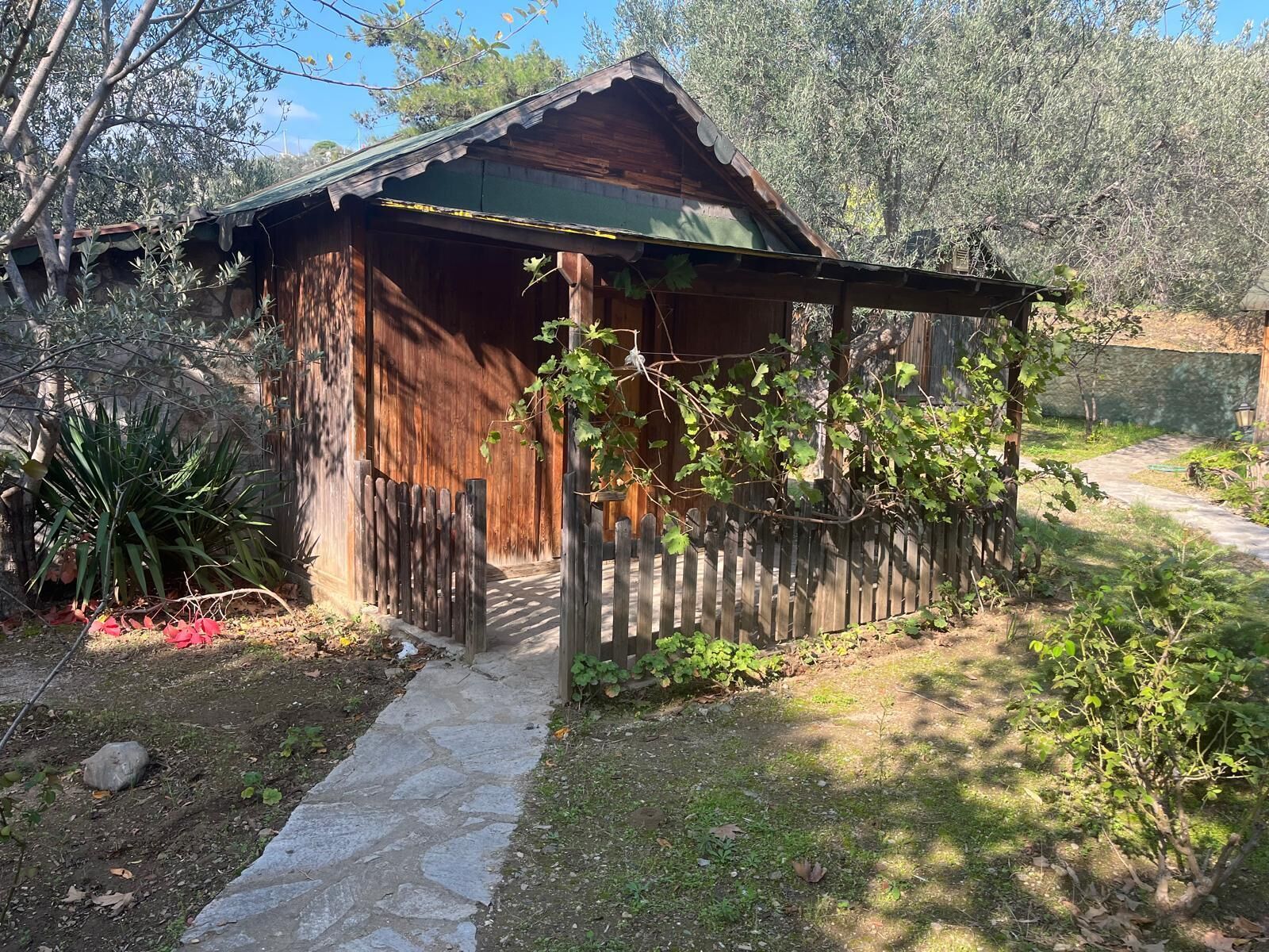 Comfort kamer, uitzicht op tuin