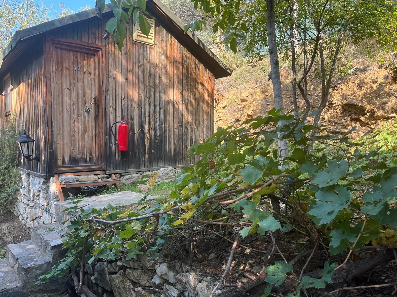 Eenvoudige bungalow, uitzicht op tuin
