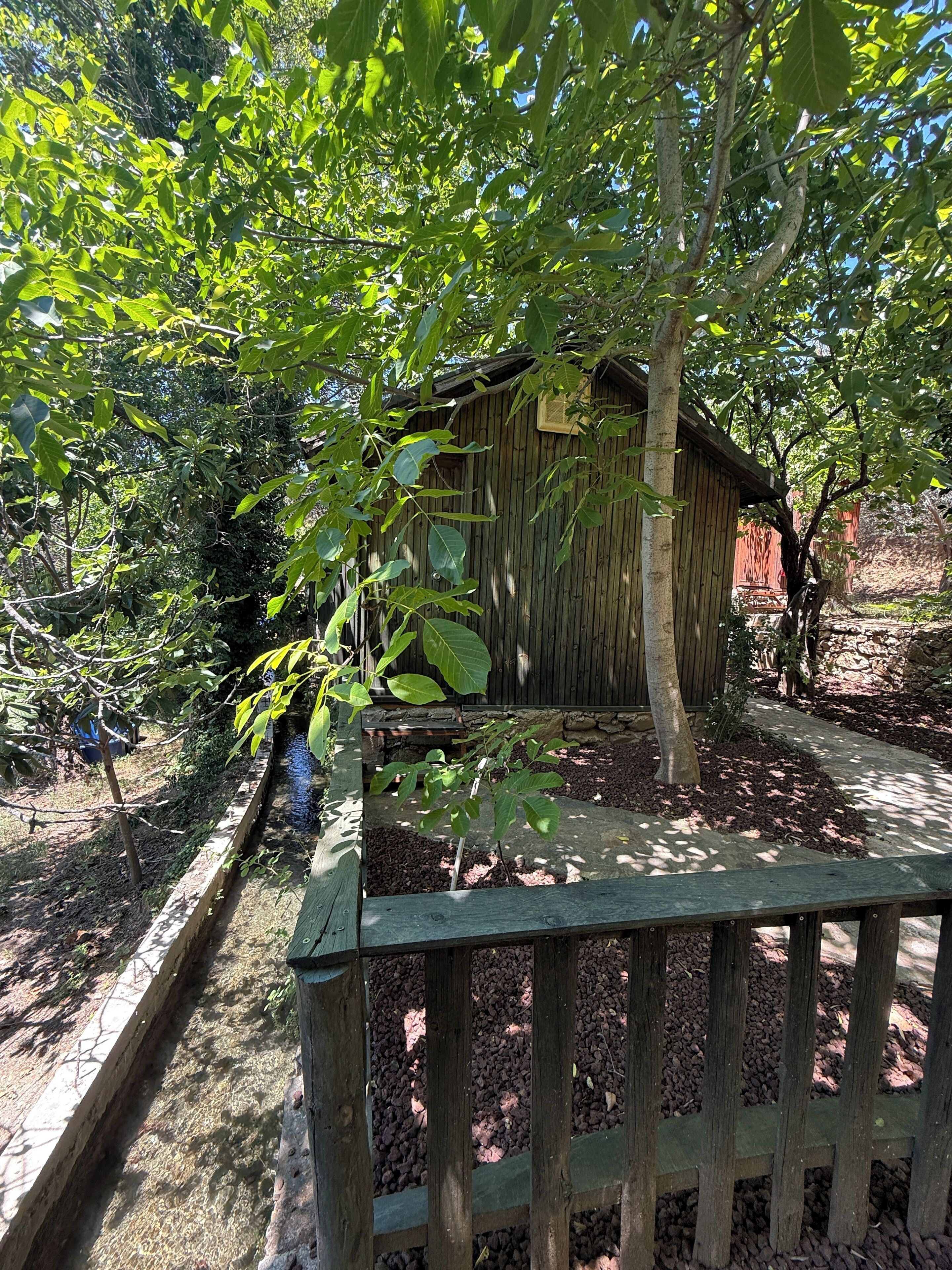 Basic Bungalow, Garden View