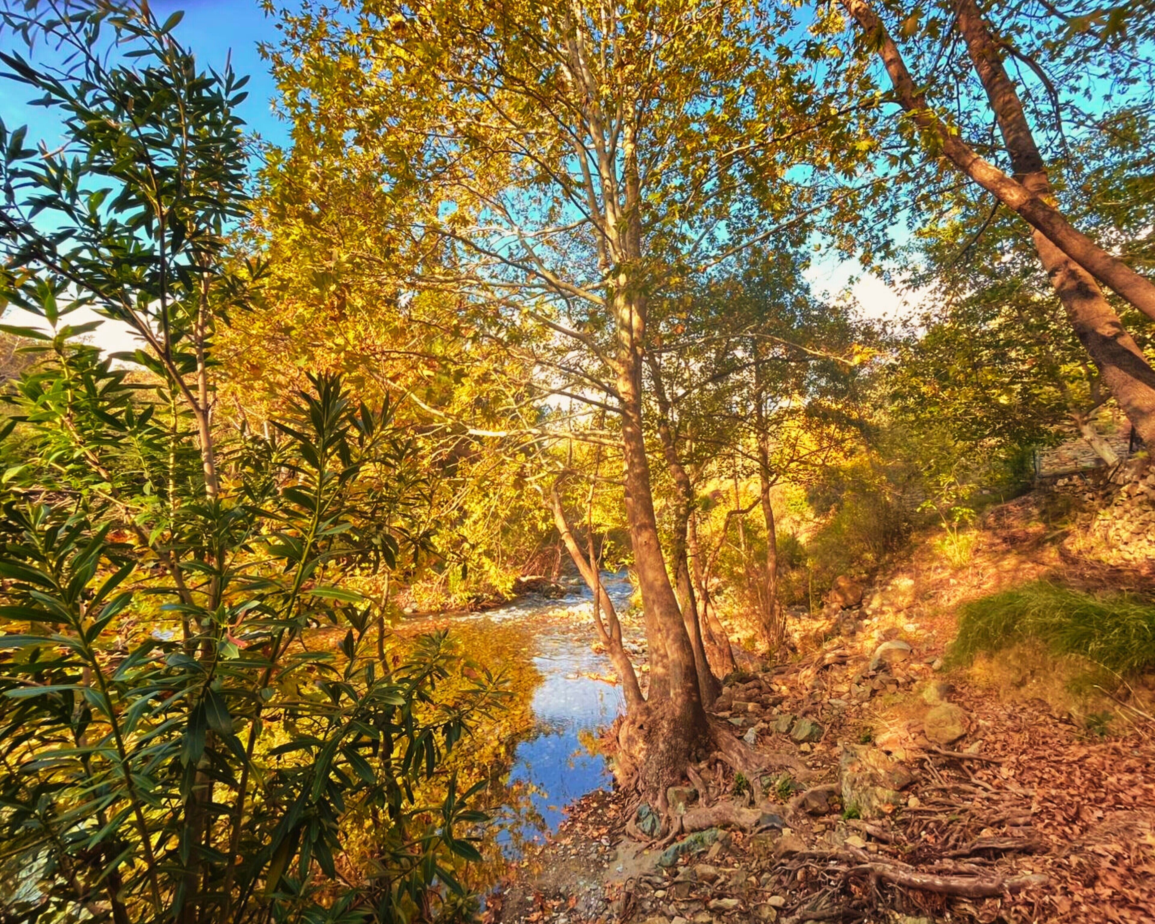 Un paysage naturel comprenant une rivière, des arbres et un terrain rocheux.