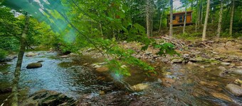 Big Leo’s River View Cabin