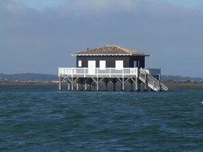Exterior - Guest Room Bastide De Mongiraud with Pool (Blanquefort)