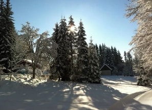 Sledging