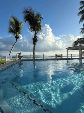 A clear swimming pool with a view of the ocean and palm trees.