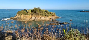 Un paysage côtier avec une île rocheuse, une eau d’un bleu limpide et une végétation clairsemée.