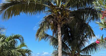 Villa SOLANA - Upscale Indigo Bay with Private Pool