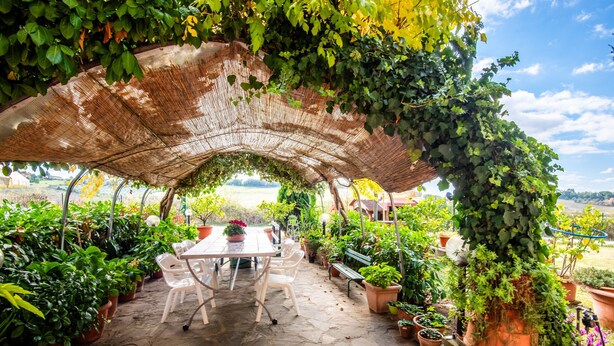 Un patio al aire libre con una mesa y sillas, rodeado de plantas en macetas y una estructura de pérgola.