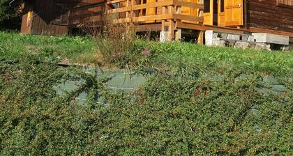 Chalet de montagne 14 couchages