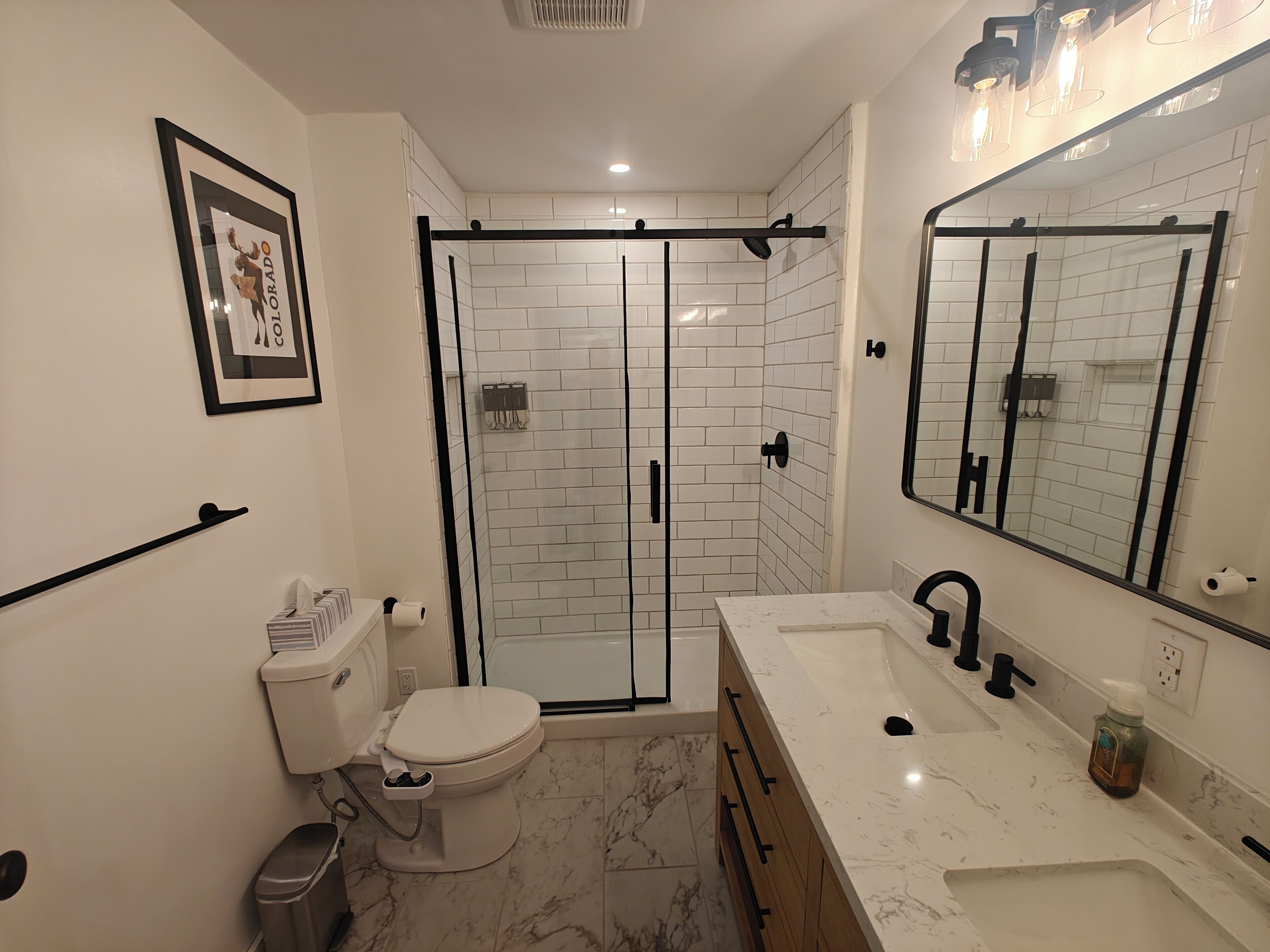 Shower, hair dryer, bidet, towels