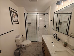Shower, hair dryer, bidet, towels