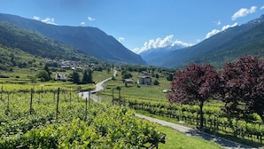 A vineyard with rows of grapevines, a road, and a mountain range in the background. - Apartment 'Maribel' with Shared Terrace and Wi-Fi (Pré-Saint-Didier)
