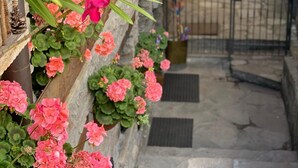 A stone staircase with pink flowers, a metal gate, and a stone wall. - Apartment 'Maribel' with Shared Terrace and Wi-Fi (Pré-Saint-Didier)