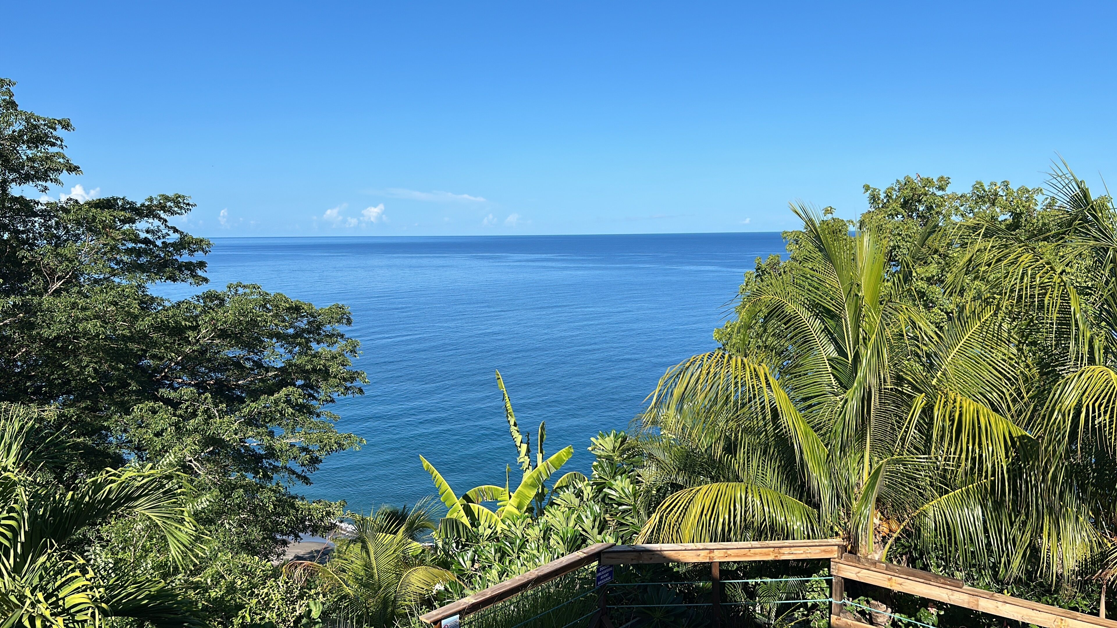 A tropical landscape with dense foliage and a view of the ocean.