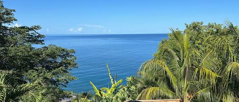 A tropical landscape with dense foliage and a view of the ocean.