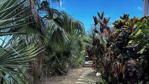 Un sendero en un jardín con escalones de piedra, rodeado de exuberante vegetación tropical y palmeras.