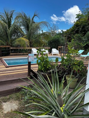 Pool - KAYLI DOUDOU LECARBET PEACEFUL VACATIONS IN A QUIET ENVIRONMENT (LE CARBET)