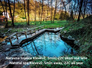 A natural spa with a wooden deck over a small pond, surrounded by trees.