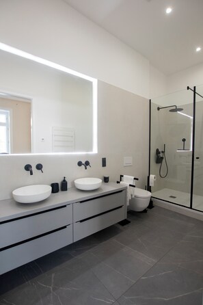 Shower, hair dryer, soap, toilet paper