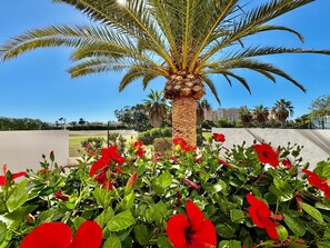 Apartment | Garden - Apartment in Poblado Golf Near Playa Serena (Roquetas de Mar)