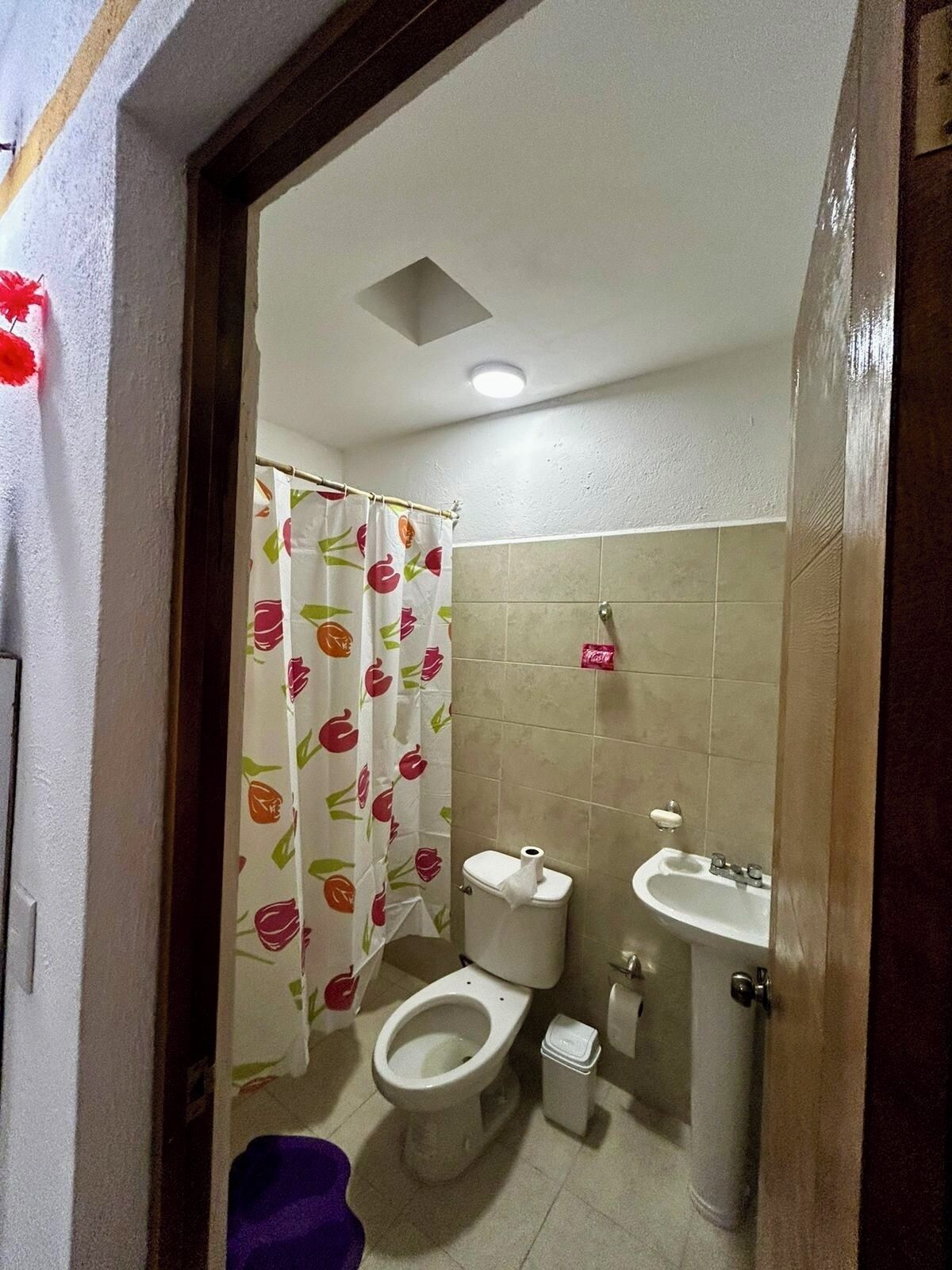 Shower, towels, soap, toilet paper
