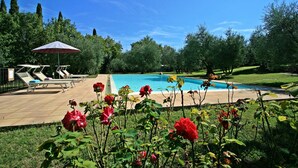 Un área de piscina con sillones de descanso y una sombrilla, rodeada de follaje y árboles.