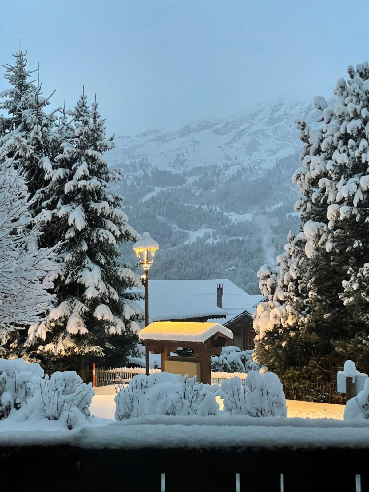 Terrain de l’hébergement 