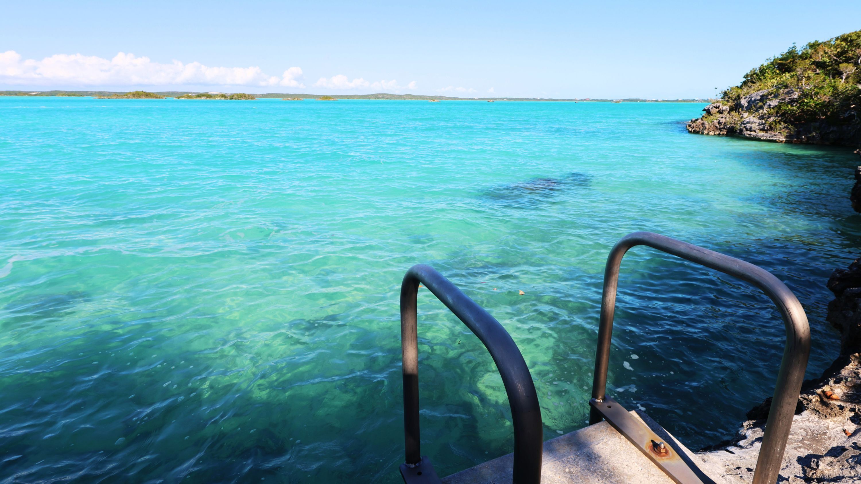 A clear view of turquoise sea water with a metal ladder leading to a rocky shore.